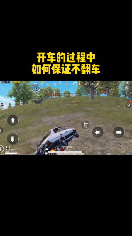 和平精英《北极熊》辅助