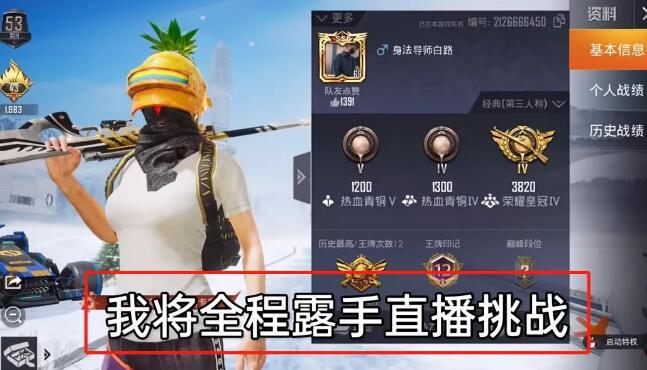 和平精英《战斗机》root版自瞄版外挂